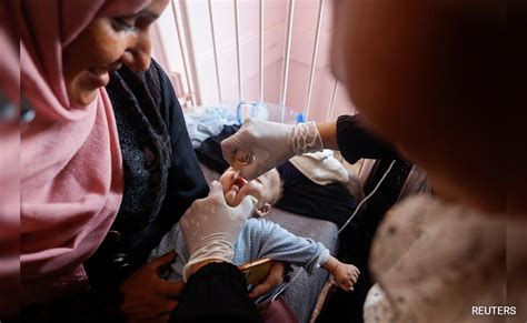 big law reddit|Polio Vaccination Campaign in Gaza Faces Big Hurdles.